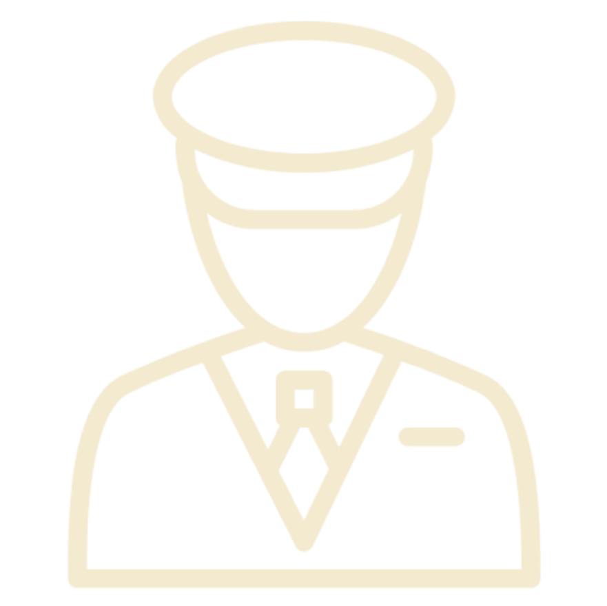 Driver icon
