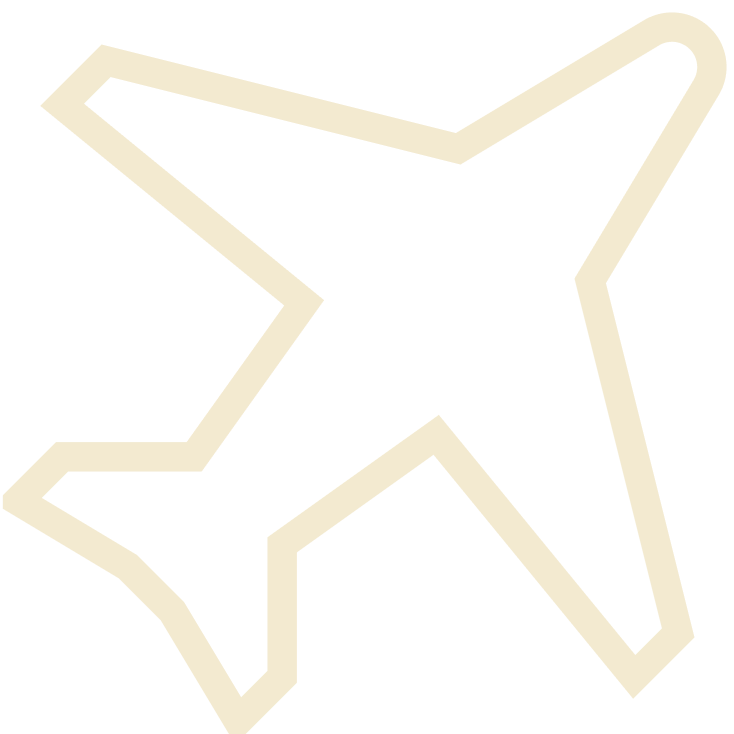 Plane icon
